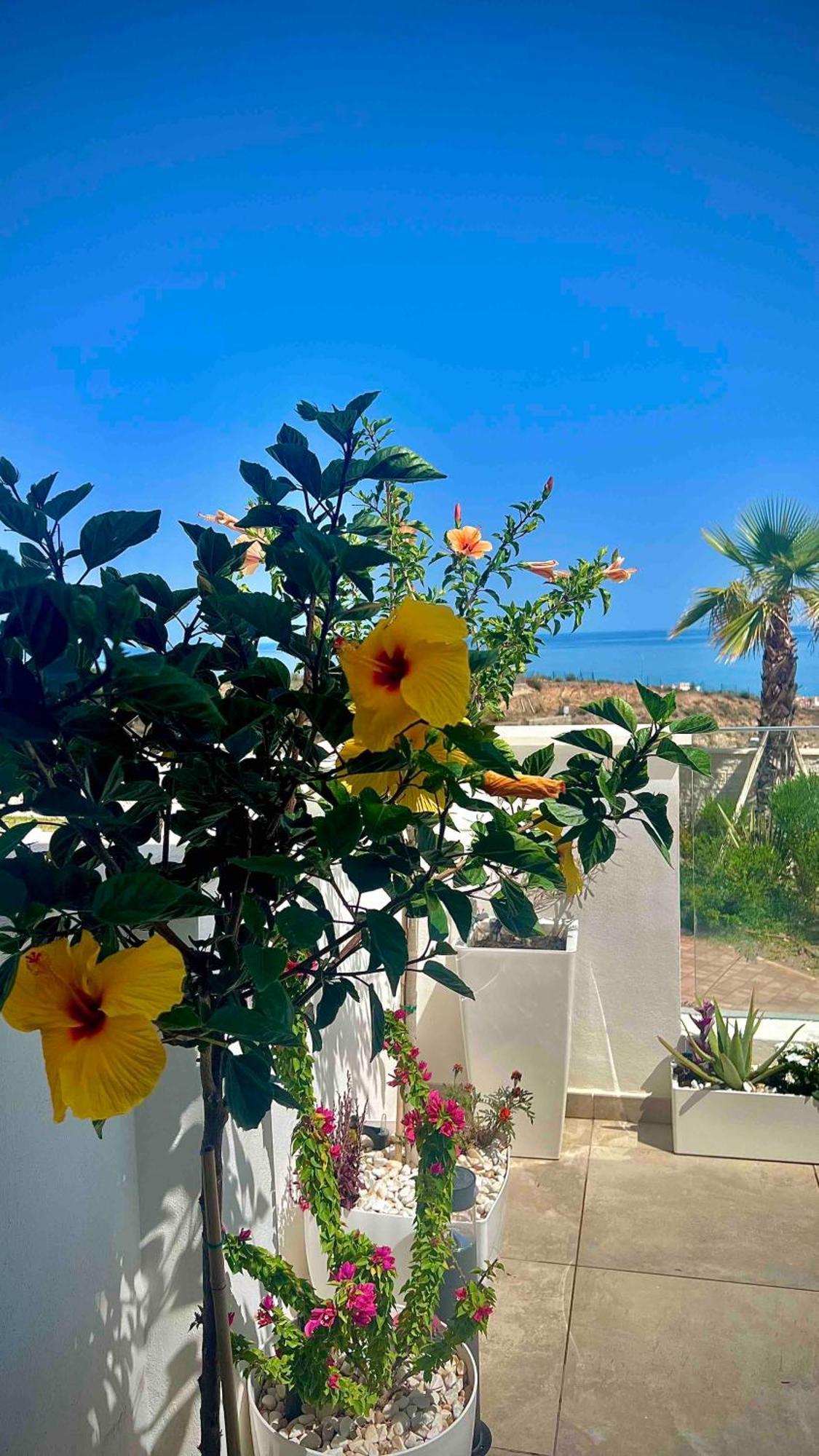 Apartamento Rincon Idilia Rincón de la Victoria Exterior foto