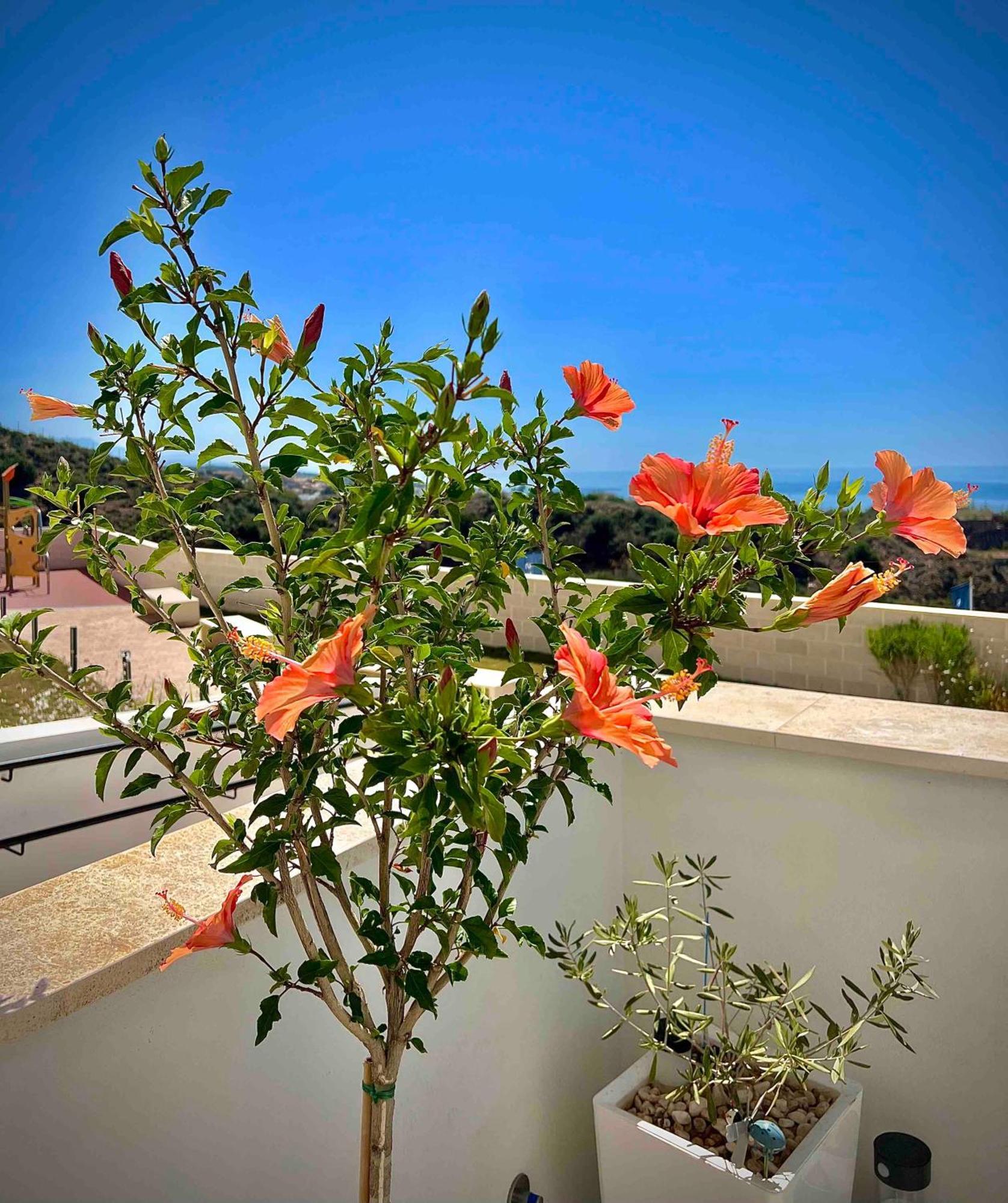 Apartamento Rincon Idilia Rincón de la Victoria Exterior foto