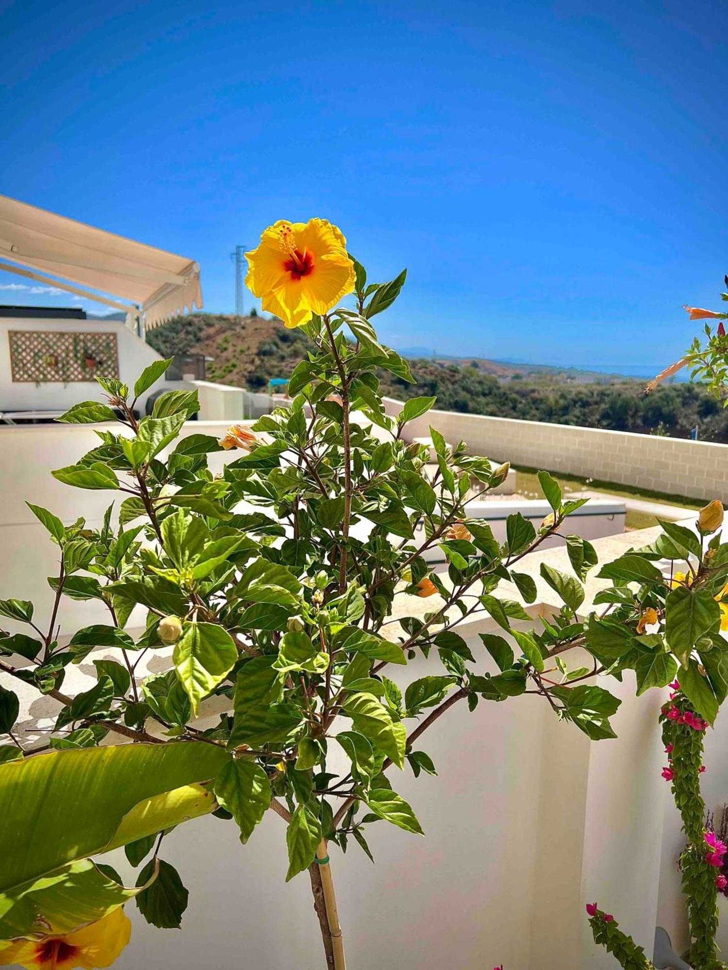 Apartamento Rincon Idilia Rincón de la Victoria Exterior foto